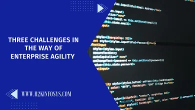 Three Challenges in the Way of Enterprise Agility