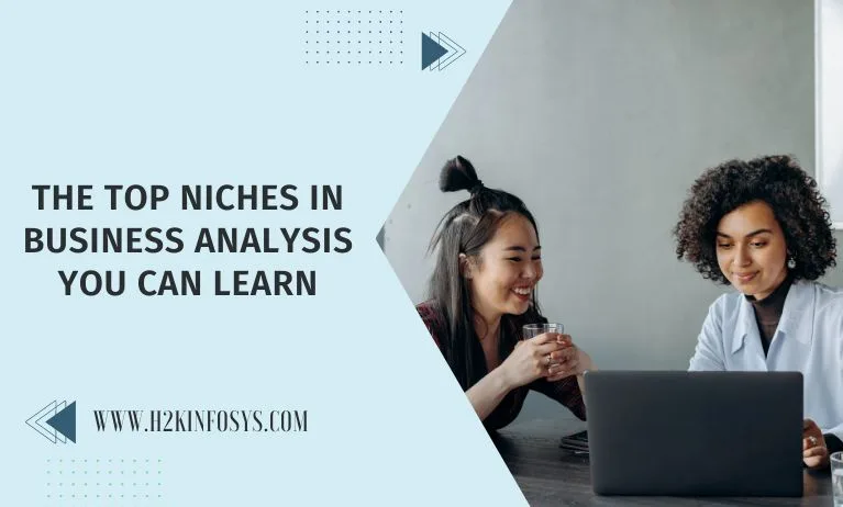 Niches in Business Analysis