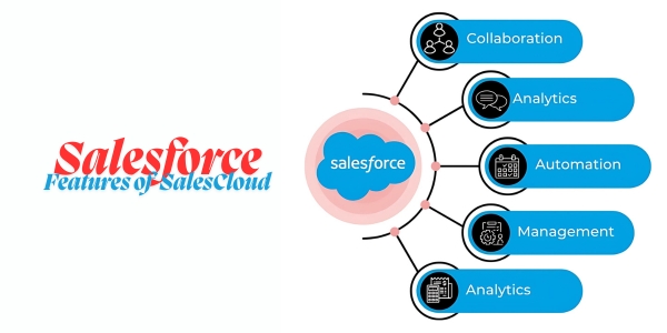 5 Things you Should know before Implementing Salesforce SalesCloud Salesforce SalesCloud