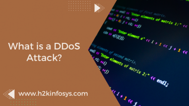 What is a DDoS Attack?