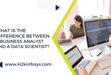 What is the difference between a Business Analyst and a Data Scientist?