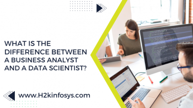 What is the difference between a Business Analyst and a Data Scientist?