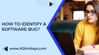 How to Identify a Software Bug