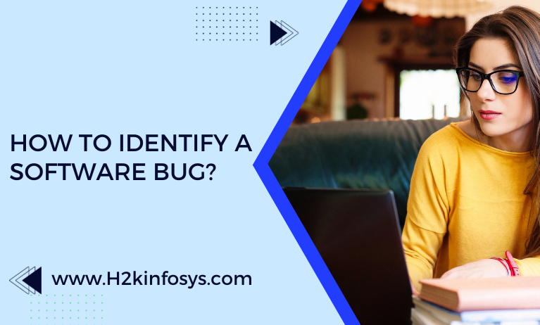How to Identify a Software Bug