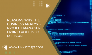 Reasons Why The Business Analyst-Project Manager Hybrid Role Is So Difficult