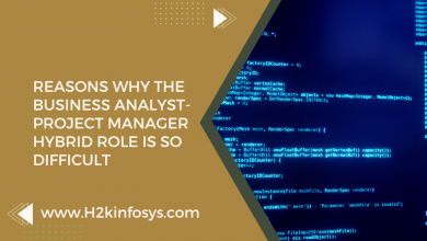 Reasons Why The Business Analyst-Project Manager Hybrid Role Is So Difficult