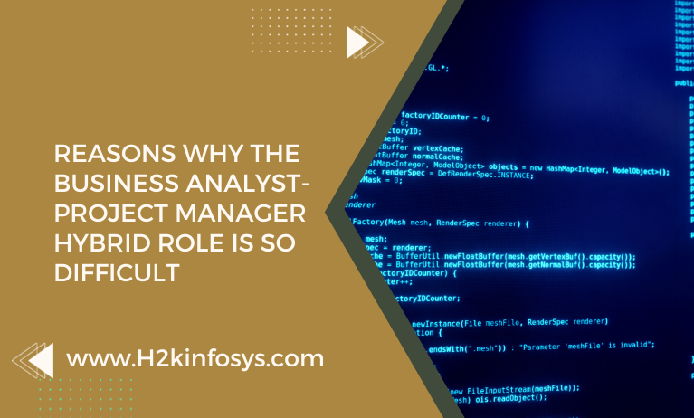 Reasons Why The Business Analyst-Project Manager Hybrid Role Is So Difficult