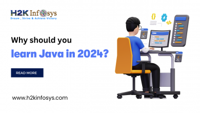 Why you should learn Java in 2024