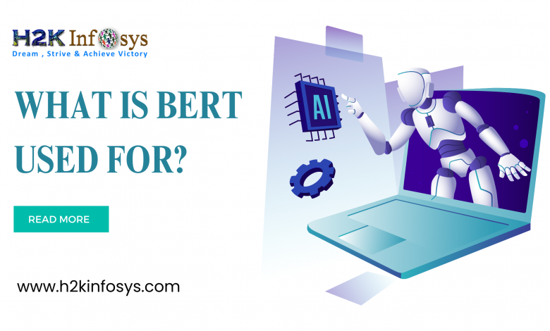 What is BERT Used for