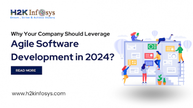 Why Your Company Should Leverage Agile Software Development in 2024