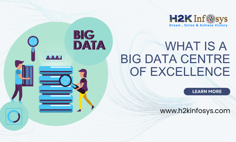 What is a Big Data Centre of Excellence
