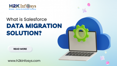 What is Salesforce Data Migration Solution?