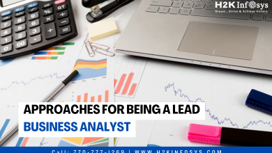 Approaches For Being A Lead Business Analyst