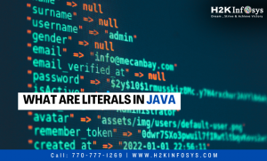 What are Literals in Java