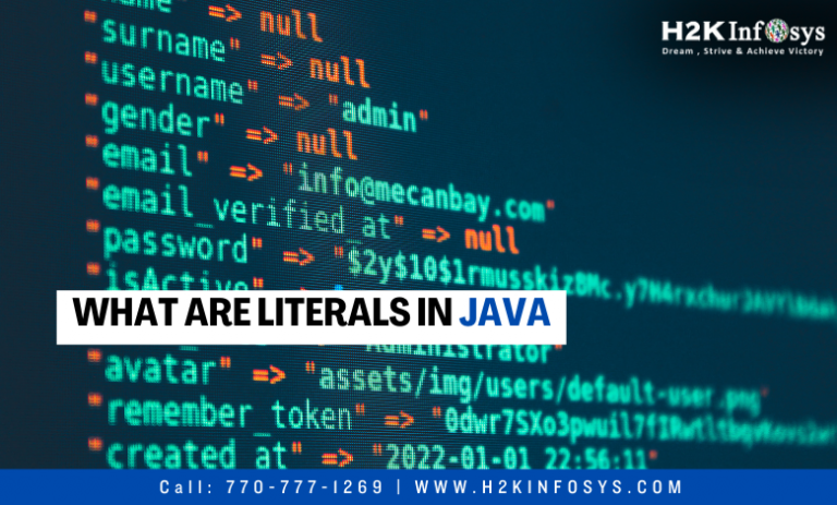 What are Literals in Java