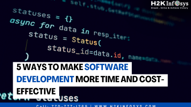 5 Ways to Make Software Development More Time and Cost-Effective