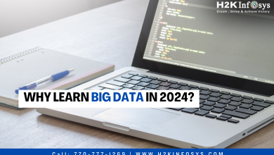 Why Learn Big Data in 2024?
