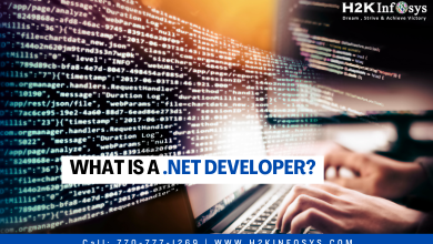 What is a  .NET Developer?