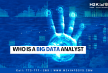 Who is a Big Data Analyst