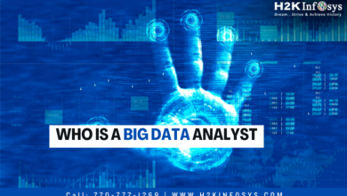 Who is a Big Data Analyst