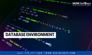 Database Environment