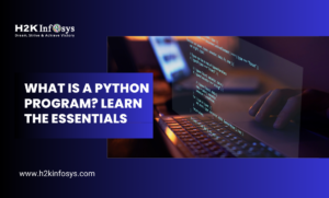 What Is a Python Program? Learn the Essentials