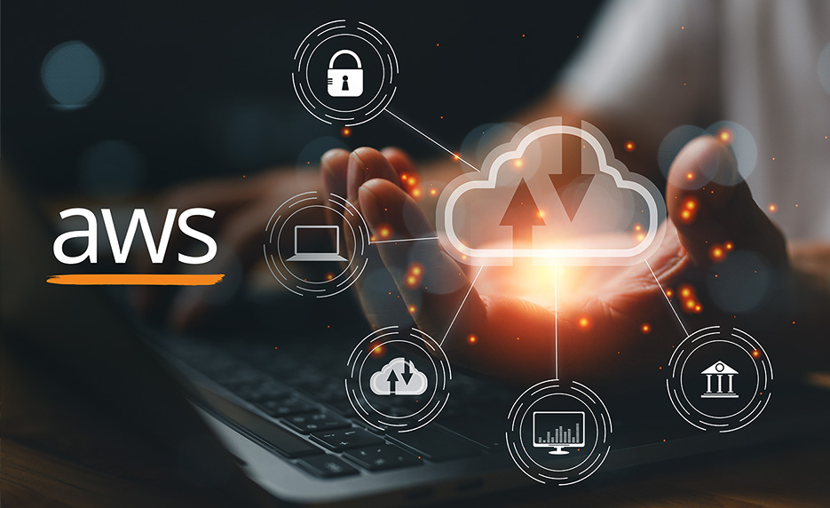 AWS Solutions Architect vs Developer: Key Differences AWS Solutions Architect vs Developer: Key Differences