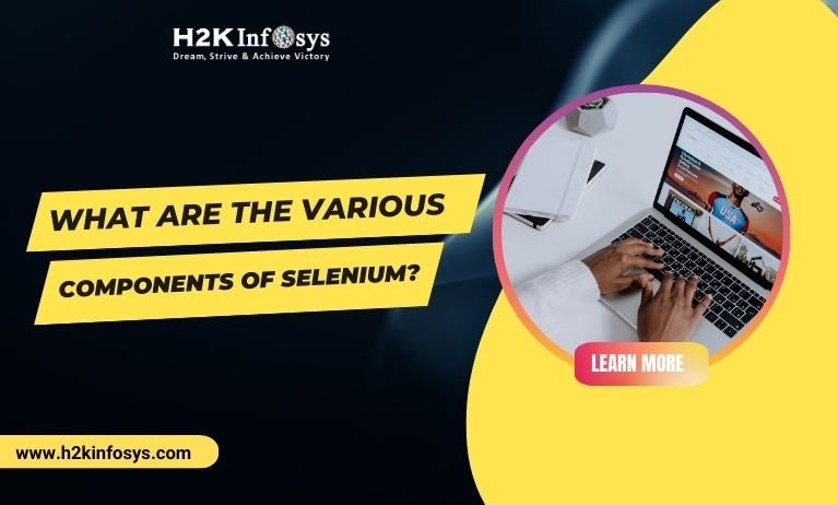 Components of Selenium