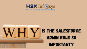 Why Is the Salesforce Admin Role So Important?