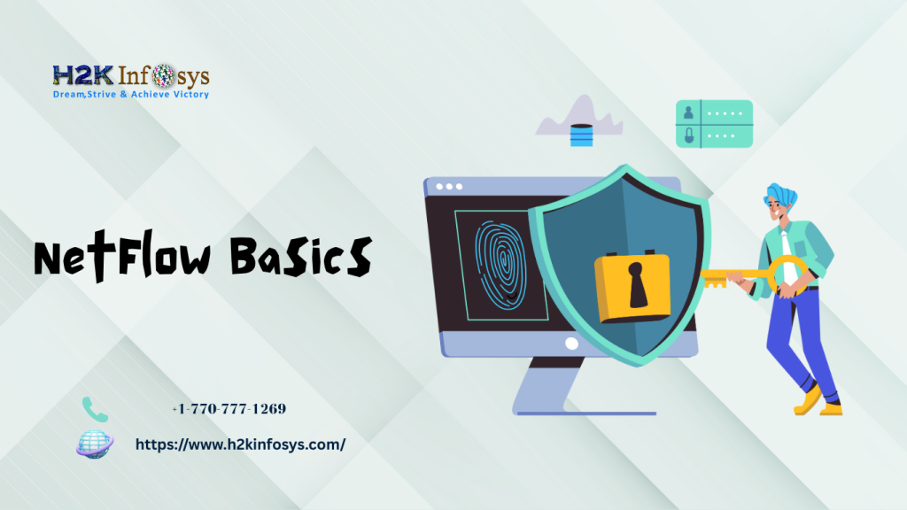 NetFlow Basics