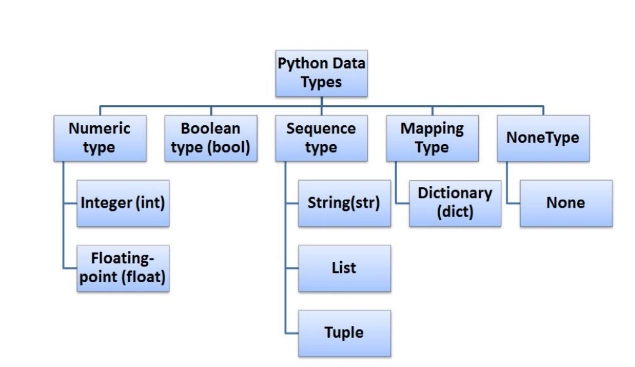 Python Variables
