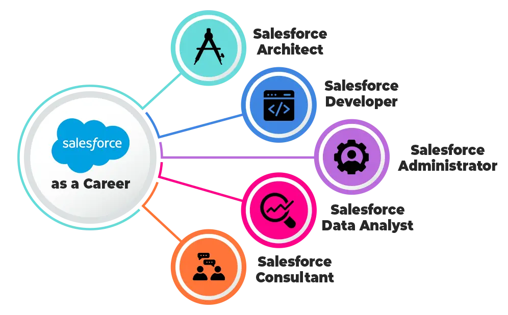 Top Salesforce Career Paths and Salaries in the USA Top Salesforce Career Paths and Salaries in the USA