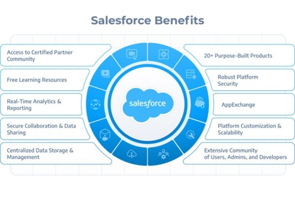 Top-Rated Salesforce Training Programs to Elevate Your Career in 2025