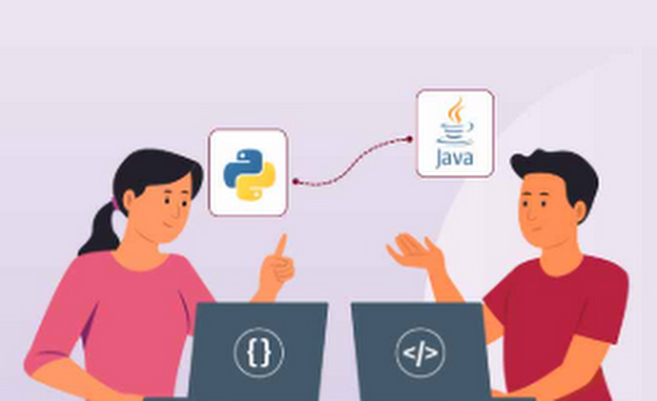 Python or Java
