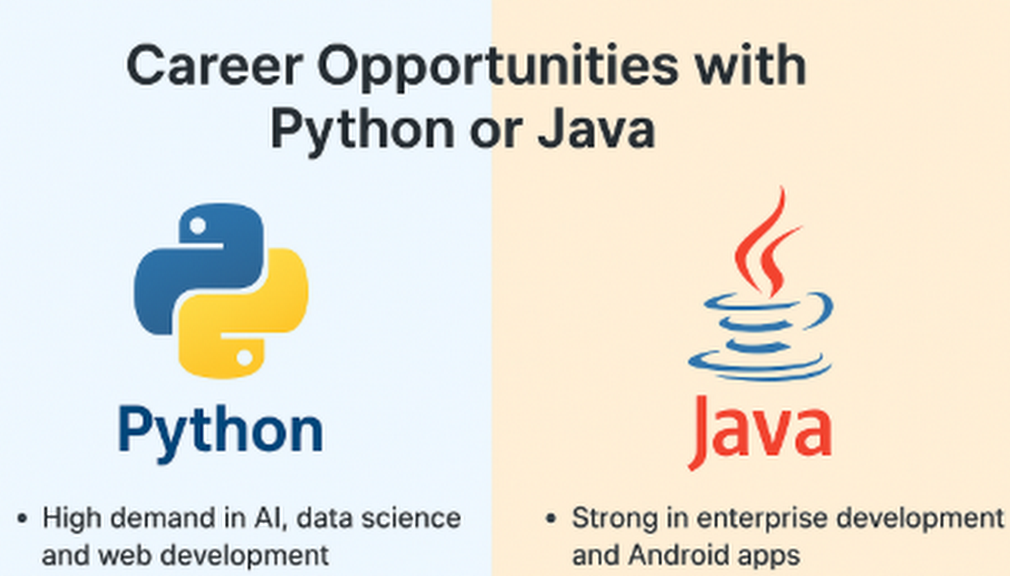 Python or Java
