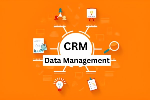 Salesforce Curriculum 2025: Learn CRM, Cloud, and Automation Skills