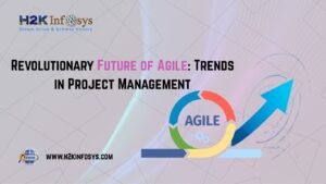 Future of Agile