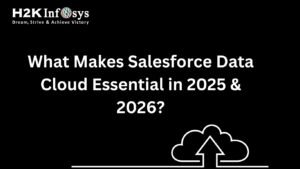 Salesforce Data Cloud Essential