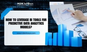 Leverage BI Tools
