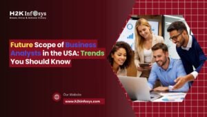 Business Analysts in the USA