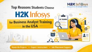 Business Analyst