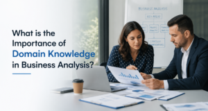 Importance of Domain Knowledge in Business Analysis