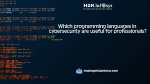 programming languages in cybersecurity