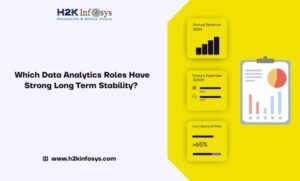 Data Analytics Roles