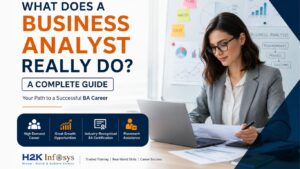 Business Analyst