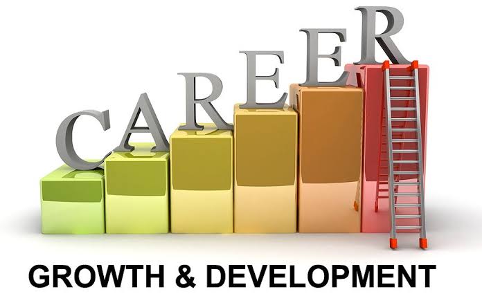 Which Data Analytics Program Fits Career Starters? Career Growth