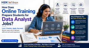 Data analyst