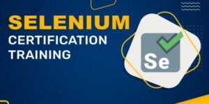 Selenium Automation Testing online